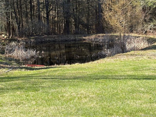 10 W Simmon, Callicoon, NY 12736