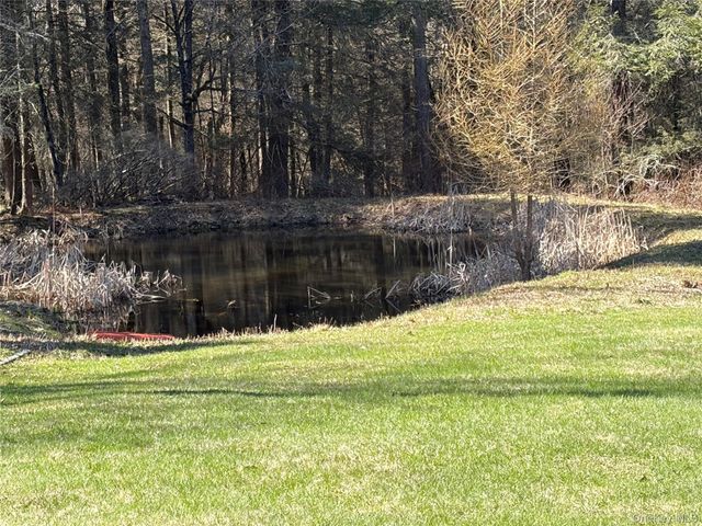 10 W Simmon, Callicoon, NY 12736