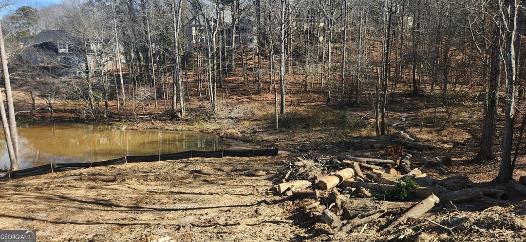 3728 Lake Vista, Douglasville, GA 30135