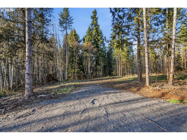 224 Durins Pl, Castle Rock, WA 98611