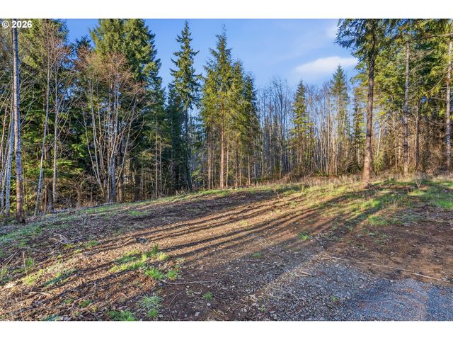 224 Durins Pl, Castle Rock, WA 98611