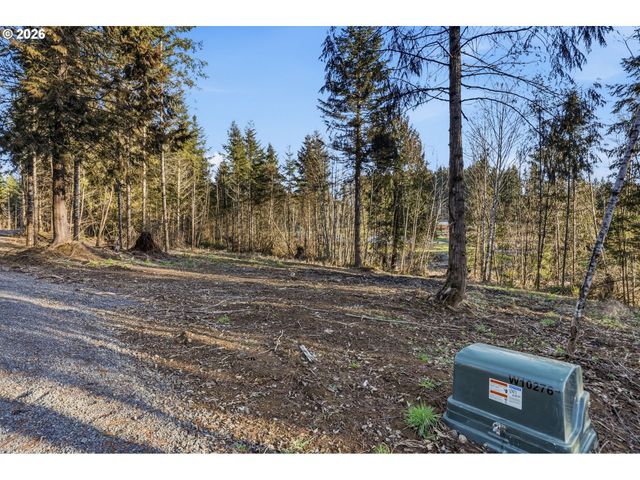 224 Durins Pl, Castle Rock, WA 98611