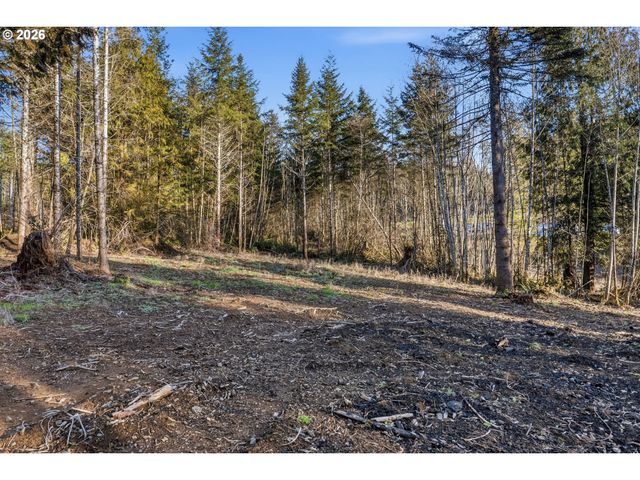 224 Durins Pl, Castle Rock, WA 98611