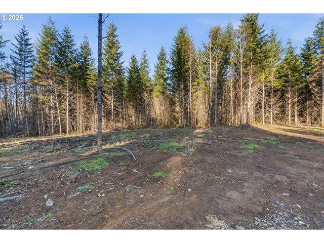 224 Durins Pl, Castle Rock, WA 98611