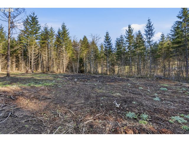 224 Durins Pl, Castle Rock, WA 98611