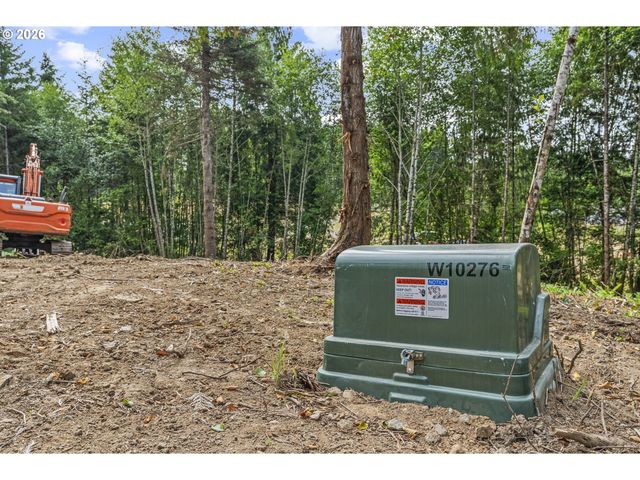 224 Durins Pl, Castle Rock, WA 98611