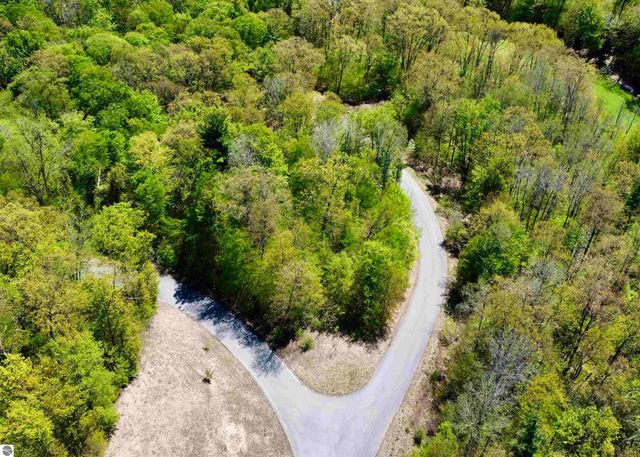 Lot 19 S Club Drive, Cedar, MI 49621