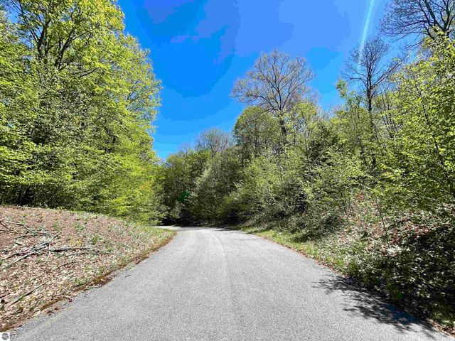 Lot 19 S Club Drive, Cedar, MI 49621