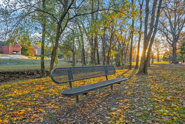 4129 Grapevine Loop, Smyrna, TN 37167