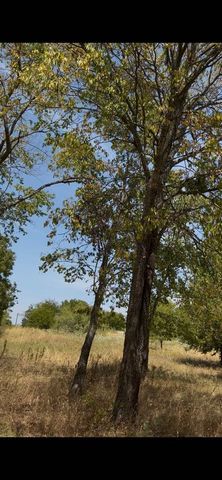 103313 Hillside Circle, Lone Oak, TX 75453