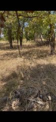 103313 Hillside Circle, Lone Oak, TX 75453