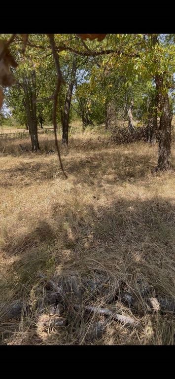 103313 Hillside Circle, Lone Oak, TX 75453
