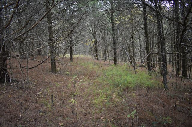 0 Gladdice Hwy, Gainesboro, TN 38562