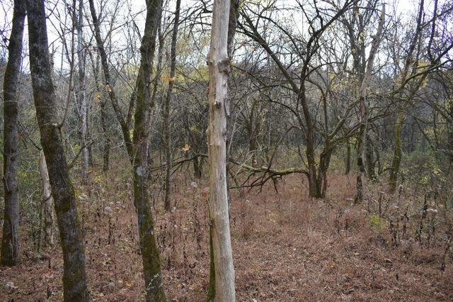 0 Gladdice Hwy, Gainesboro, TN 38562