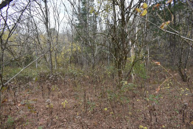 0 Gladdice Hwy, Gainesboro, TN 38562