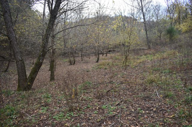 0 Gladdice Hwy, Gainesboro, TN 38562