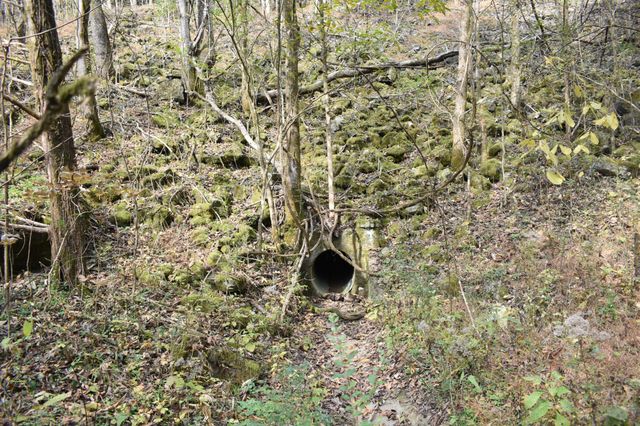 0 Gladdice Hwy, Gainesboro, TN 38562