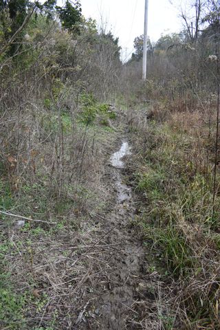 0 Gladdice Hwy, Gainesboro, TN 38562