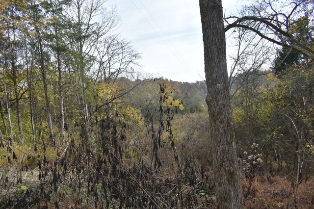 0 Gladdice Hwy, Gainesboro, TN 38562