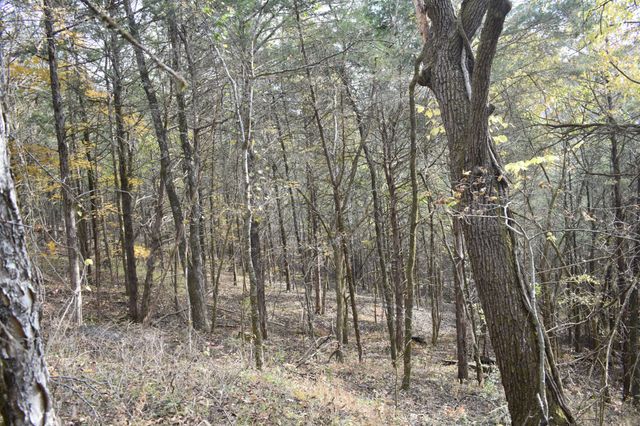 0 Gladdice Hwy, Gainesboro, TN 38562