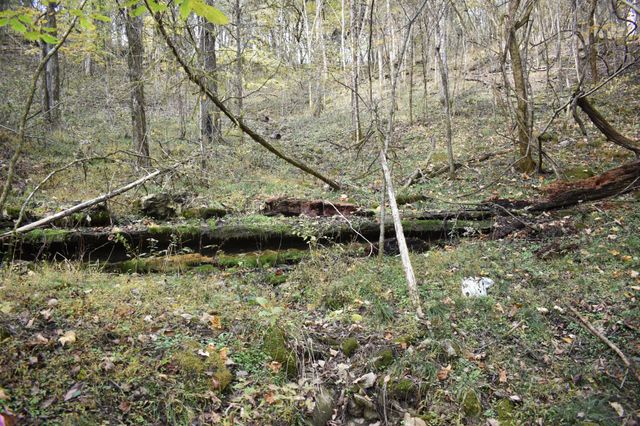 0 Gladdice Hwy, Gainesboro, TN 38562