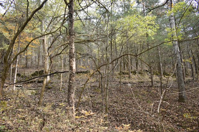 0 Gladdice Hwy, Gainesboro, TN 38562