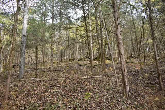 0 Gladdice Hwy, Gainesboro, TN 38562