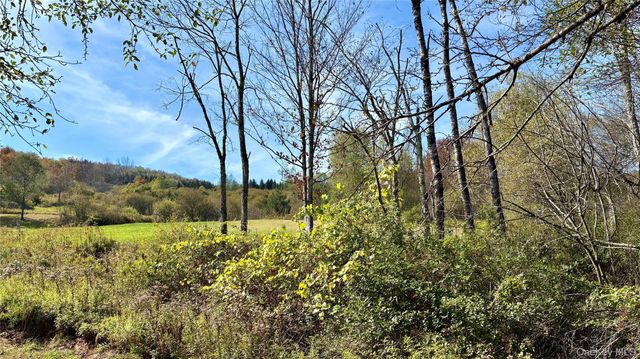 4188 State Route 52, Youngsville, NY 12791