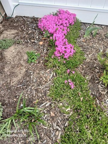 4728 Macatawa Legends Boulevard 19, Holland, MI 49424