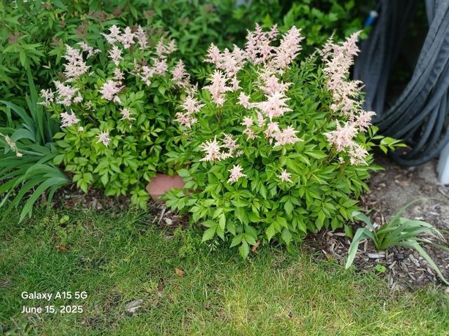 4728 Macatawa Legends Boulevard 19, Holland, MI 49424