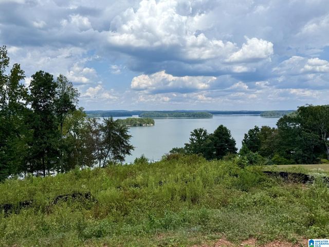 69 OVERLOOK DRIVE, Lineville, AL 36266