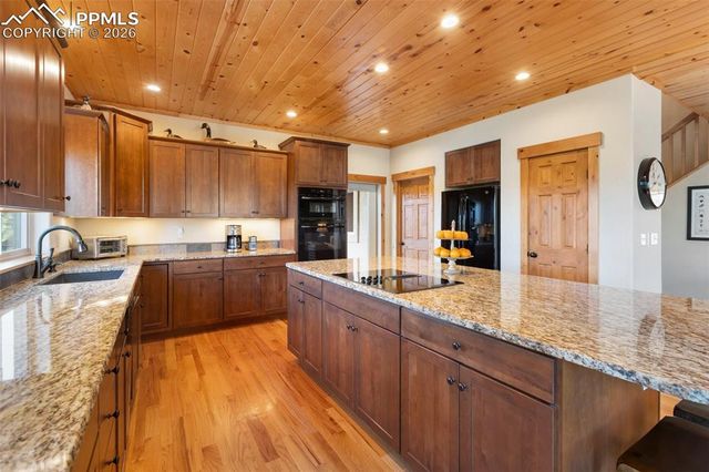 146 Conifer Circle, Florissant, CO 80816