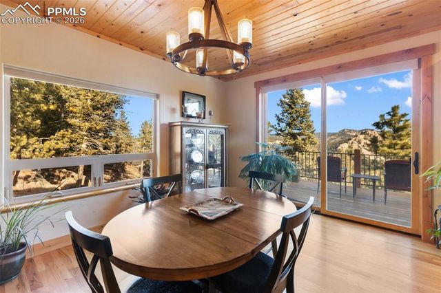 146 Conifer Circle, Florissant, CO 80816