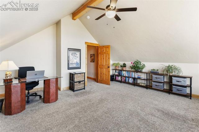 146 Conifer Circle, Florissant, CO 80816