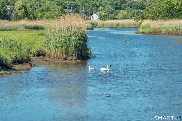 44 Riverside Drive, Branford, CT 06405