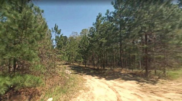 0 Fourth Street, Livingston, TX 77351