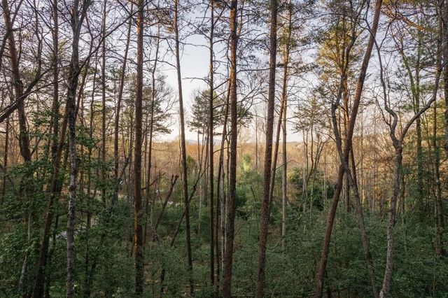 171 Huckleberry Lane, Mineral Bluff, GA 30559