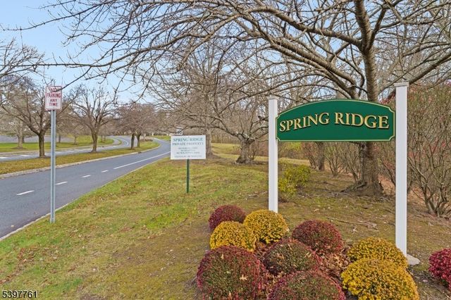 41 Smithfield Ct, Bernards Twp., NJ 07920