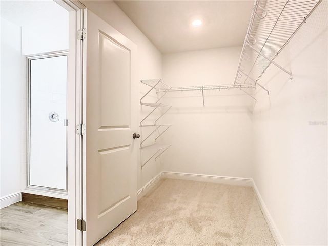 11165 GREEN CITRON ALLEY, Winter Garden, FL 34787