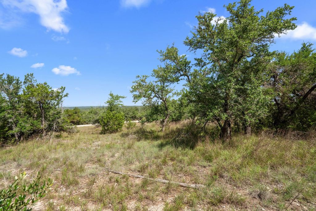 31890 Mirela Ann RD, Dripping Springs, TX 78620