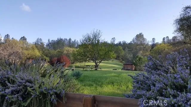 2002 Ogulin Canyon, Clearlake, CA 95422