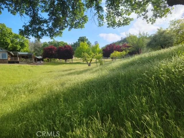 2002 Ogulin Canyon, Clearlake, CA 95422