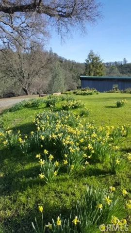 2002 Ogulin Canyon, Clearlake, CA 95422