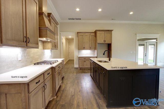 Kingston - A Narayan Street, Madison, AL 35756