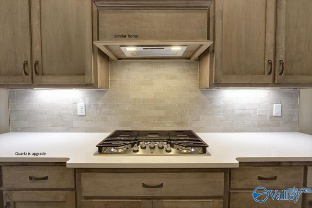 Kingston - A Narayan Street, Madison, AL 35756