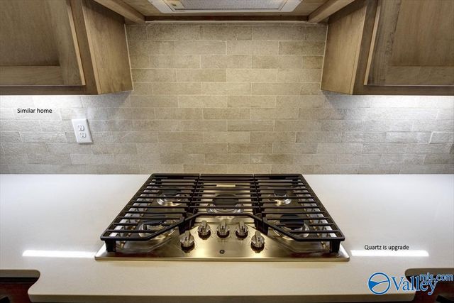 Kingston - A Narayan Street, Madison, AL 35756