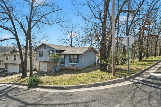 1650 Miller Drive, Branson, MO 65616