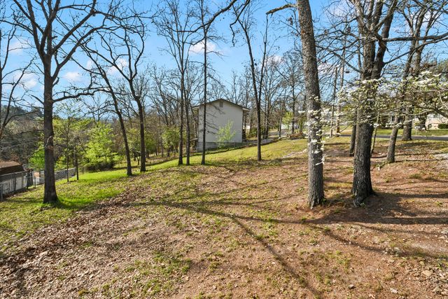 1650 Miller Drive, Branson, MO 65616