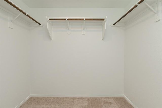 1005 Greenshank Drive, Katy, TX 77493