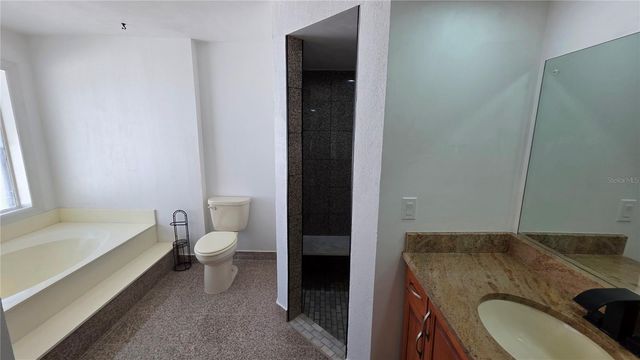 2890 ARMADILLO DRIVE, Palm Harbor, FL 34683